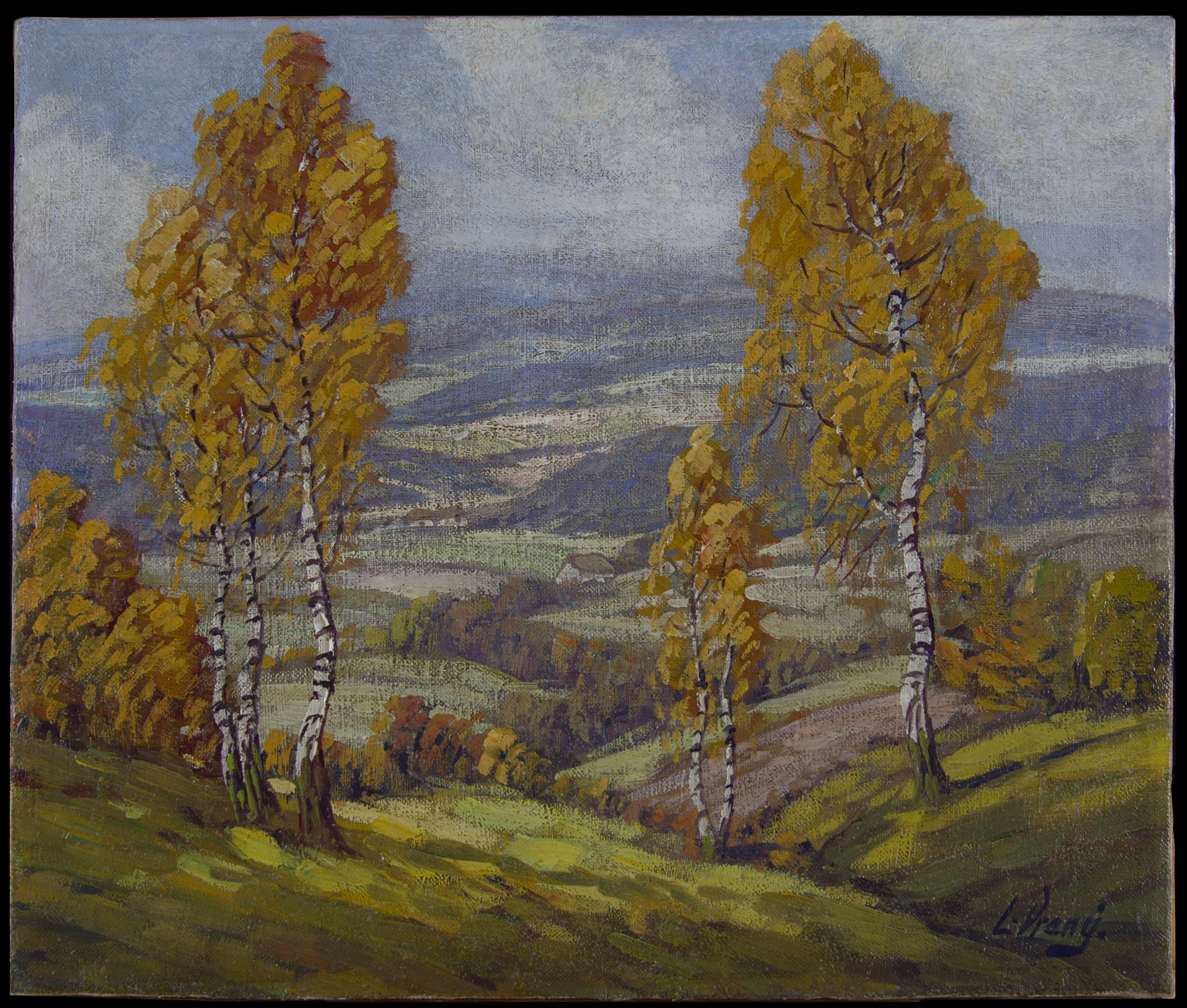 Ladislav Vraný – Krajina